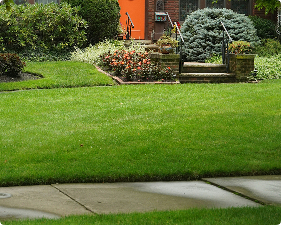 Key Services in Irrigation Systems